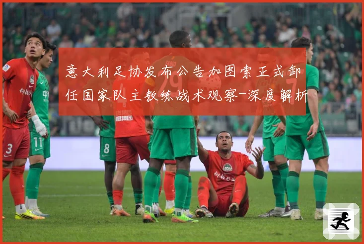 意大利足协发布公告加图索正式卸任国家队主教练战术观察-深度解析