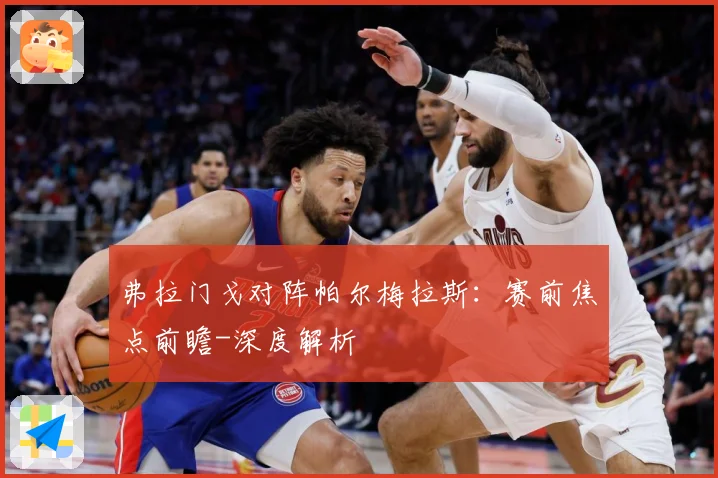 弗拉门戈对阵帕尔梅拉斯：赛前焦点前瞻-深度解析