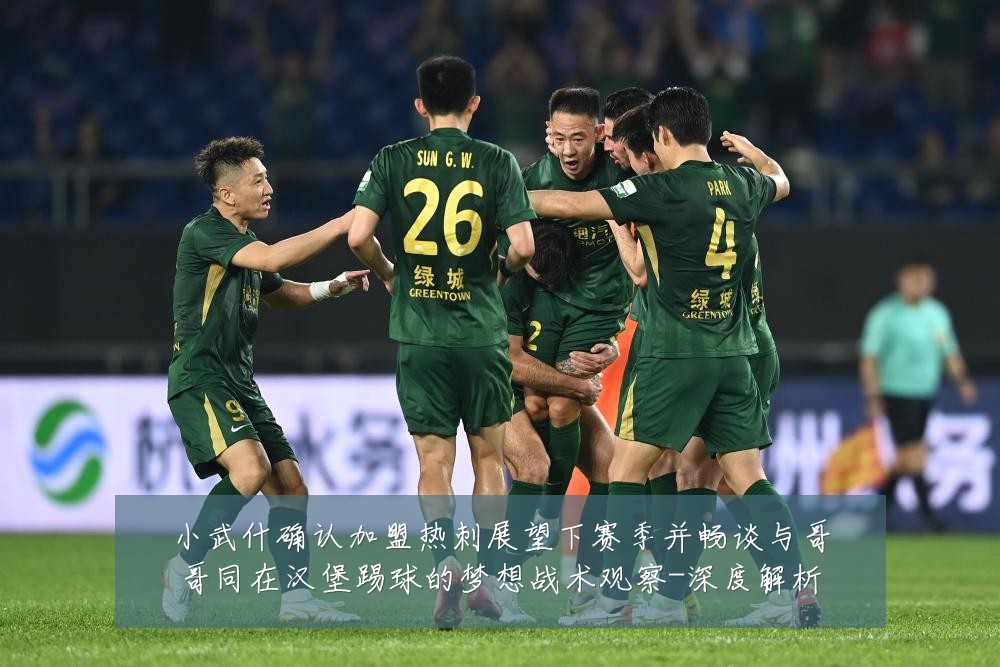 小武什确认加盟热刺展望下赛季并畅谈与哥哥同在汉堡踢球的梦想战术观察-深度解析
