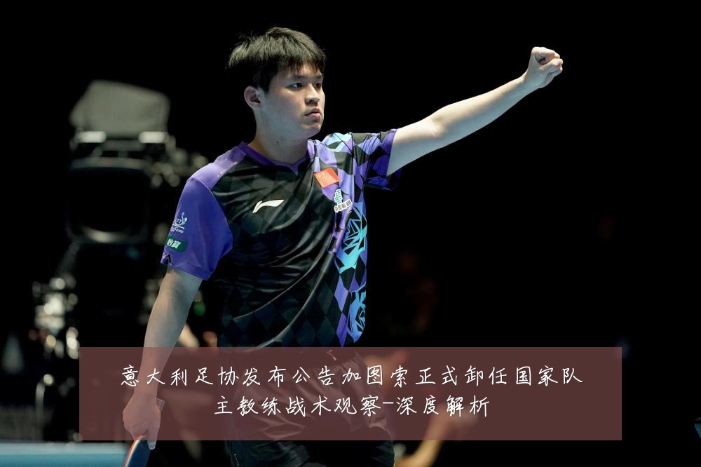 意大利足协发布公告加图索正式卸任国家队主教练战术观察-深度解析