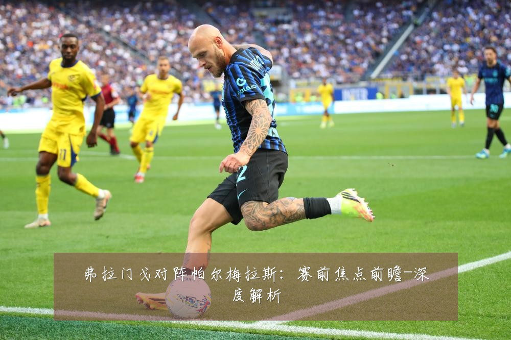 弗拉门戈对阵帕尔梅拉斯:赛前焦点前瞻-深度解析