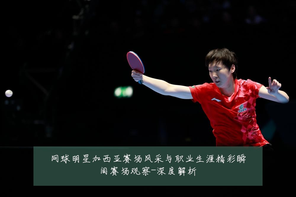 网球明星加西亚赛场风采与职业生涯精彩瞬间赛场观察-深度解析